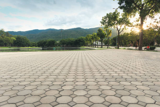 Best Decorative Driveway Pavers  in Altamont, IL